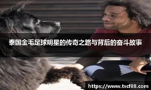 彩神vll购彩